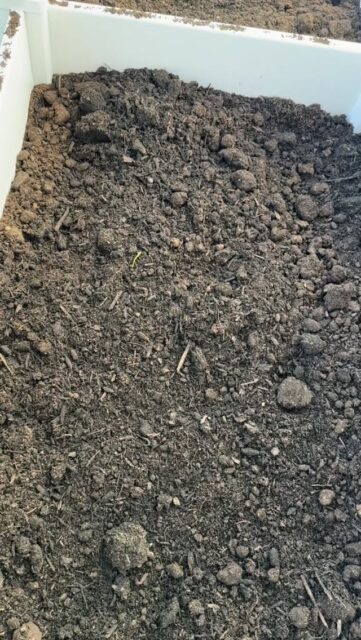 Planting roots, growing memories, and learning that the best growth happens little by little 🌱✨
Parenting and gardening both remind me that beautiful things are always worth the patience. Is anyone planting anything for the summer?Comment below for what you’re most excited about! If you’re new here, hi 🌿 Follow along for simple parenting tips and tricks, gardening, and little joys (coffee) along the way. #crosscofinds